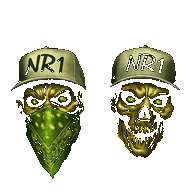 NR1 DNB Radio